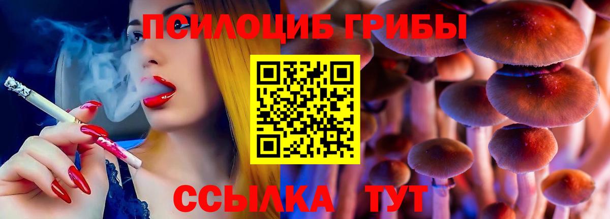 Десногорск  где найти   Вход с VPN  Галлюциногенные грибы мицелий  Псилоцибиновые грибы мицелий 